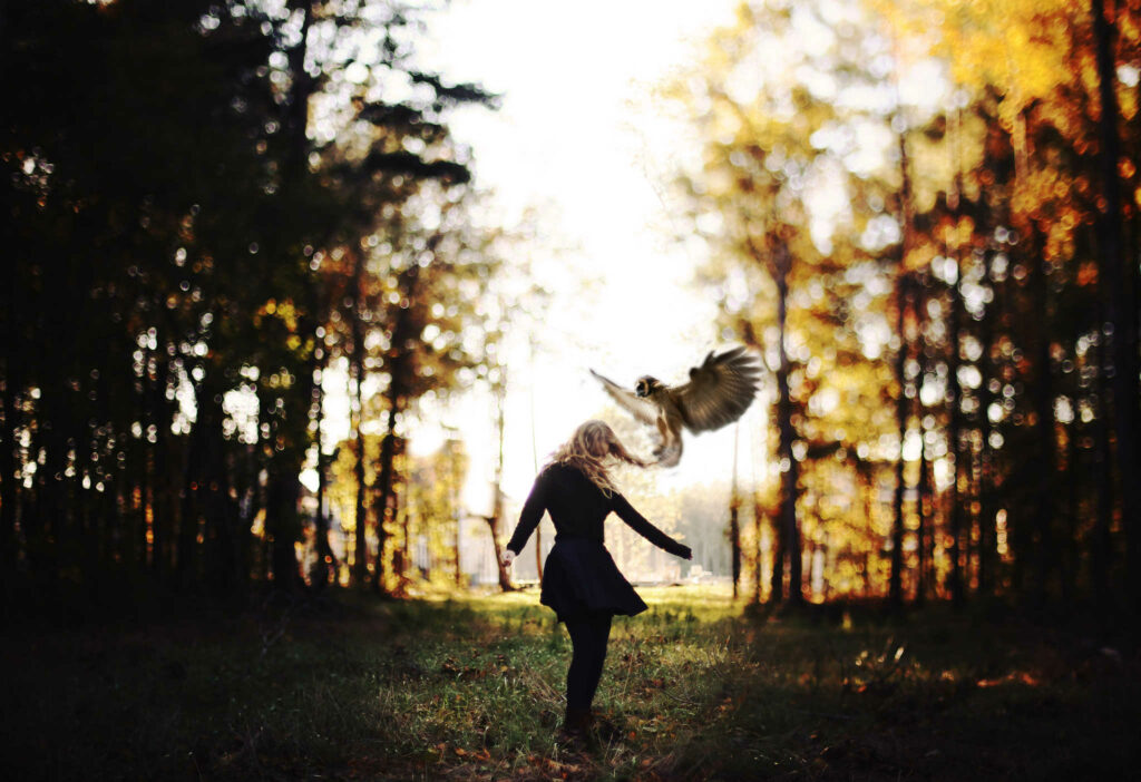 image aerolineas argentinas 10859595736 6e7eebe60d k