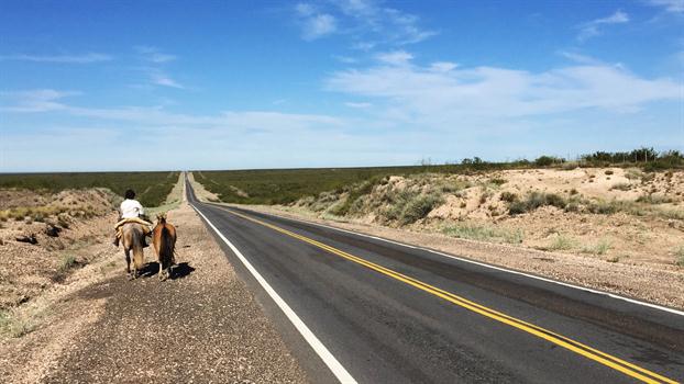 image un viaje a caballo de Buenos Aires a Bariloche 2355285h350