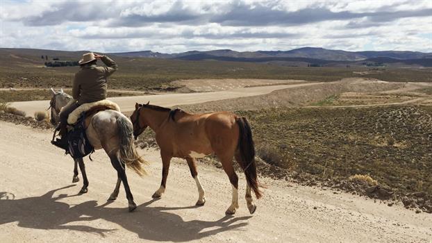 image un viaje a caballo de Buenos Aires a Bariloche 2355286h350