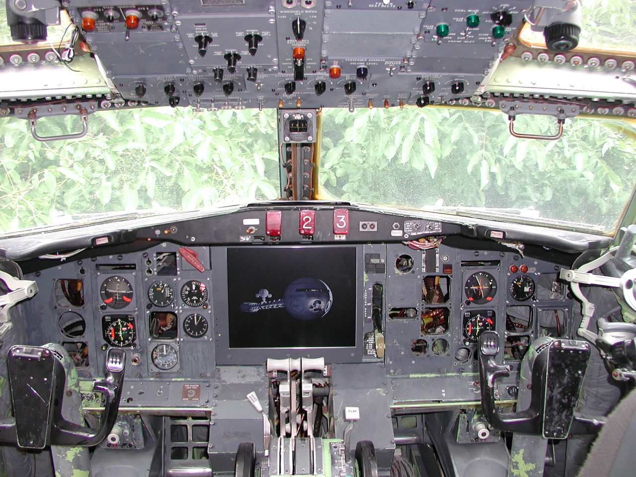 image vive en un avion bosque