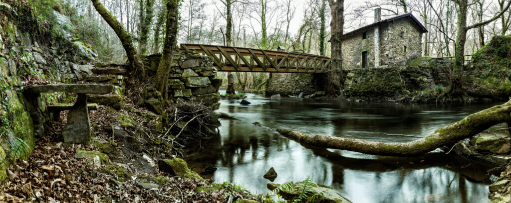 image cerveza cannabis 33809145333 12ce8a61ab h