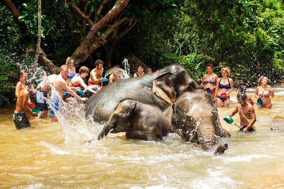 image Elephant Jungle Sanctuary 3571ff4f6405300ac7e904bd7bb8229e 1