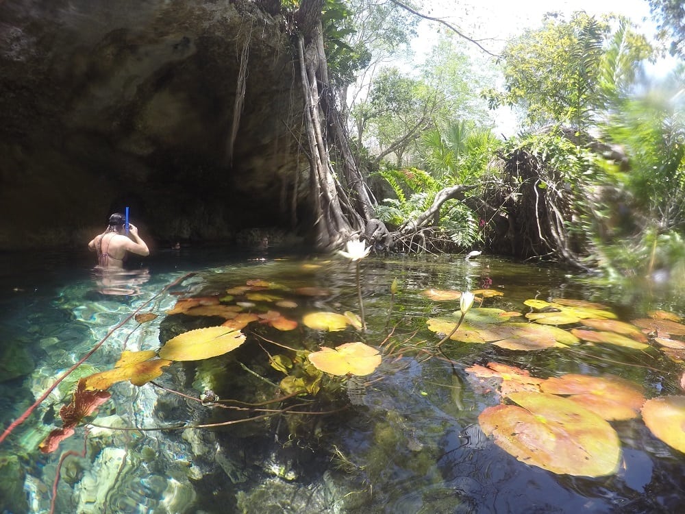 image cenotes mexico G0029988