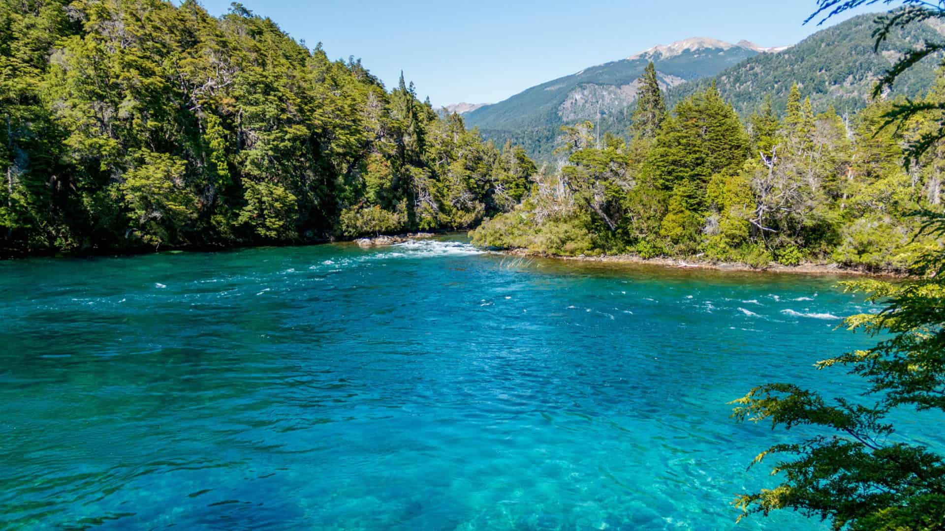 parque nacional los alerces