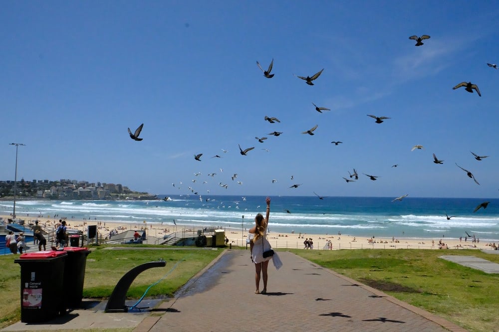 Bondi-Beach-1