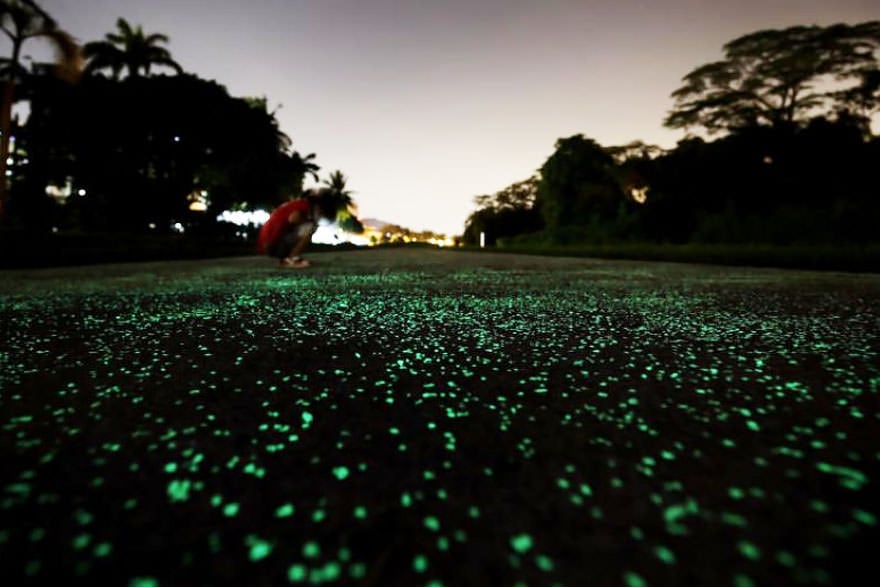 image singapur calle brillante glow in the dark rail corridor singapore 6