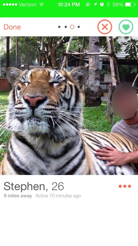 image tigre selfie tiger2