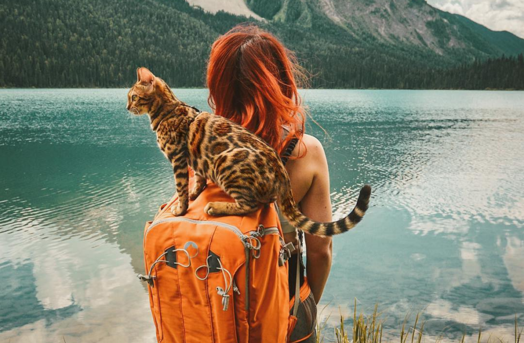 image cerveza cannabis Screenshot 5