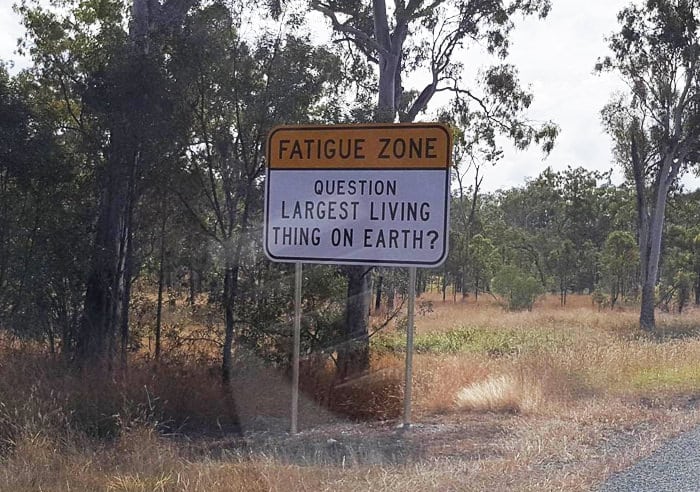 image fatigue zone trivia road signs australia 59acf480d9f88 700