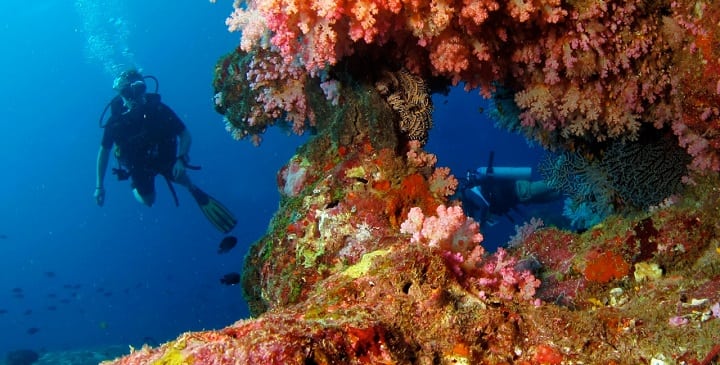 image buceo sostenible Biodiversidad de Koh Tachai