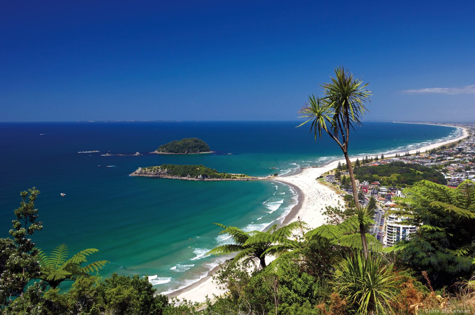 image Mount Maunganui Bay of Plenty