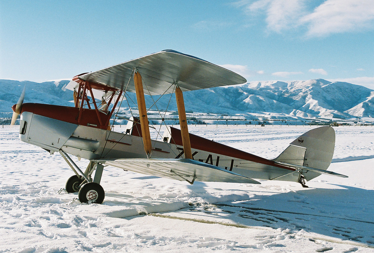 image Tigermoth in Snow