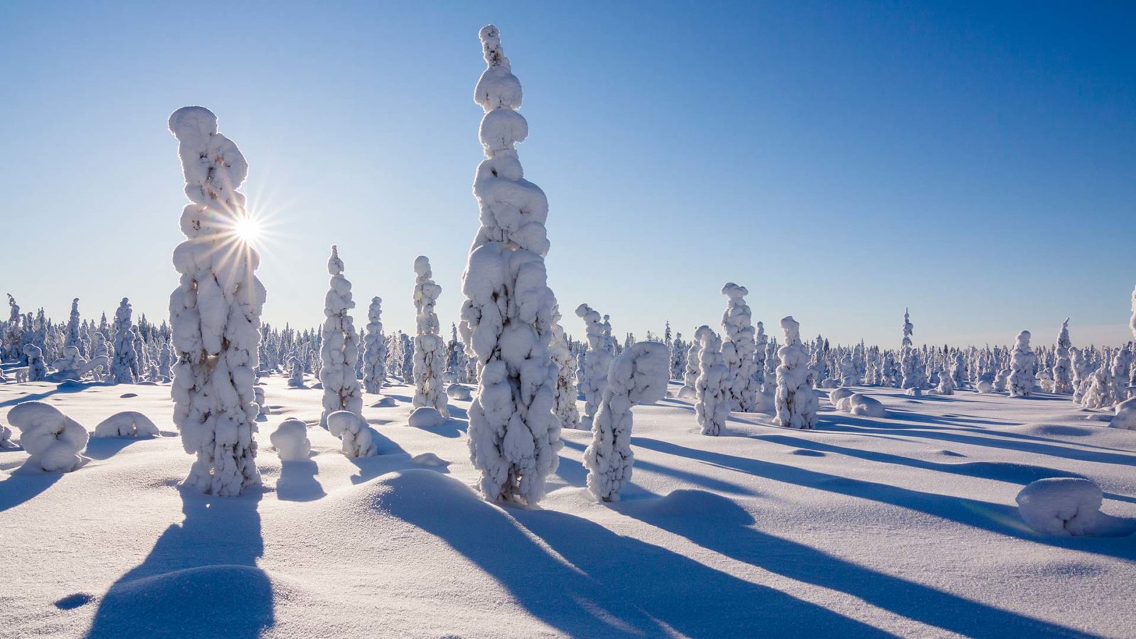 image rovaniemi lapland 1©visitrovaniemi.fi marko junttila