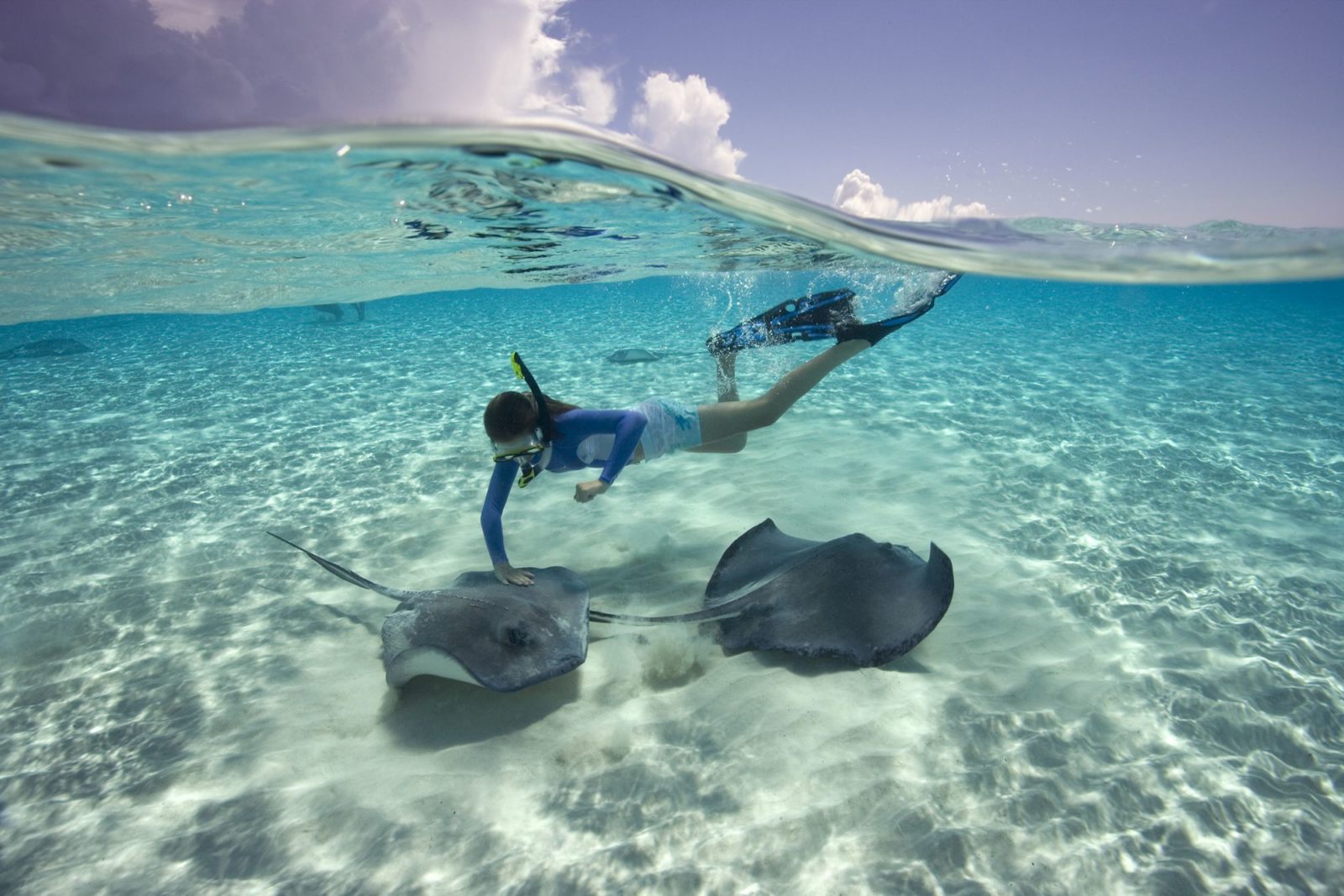 image stringray city grand cayman