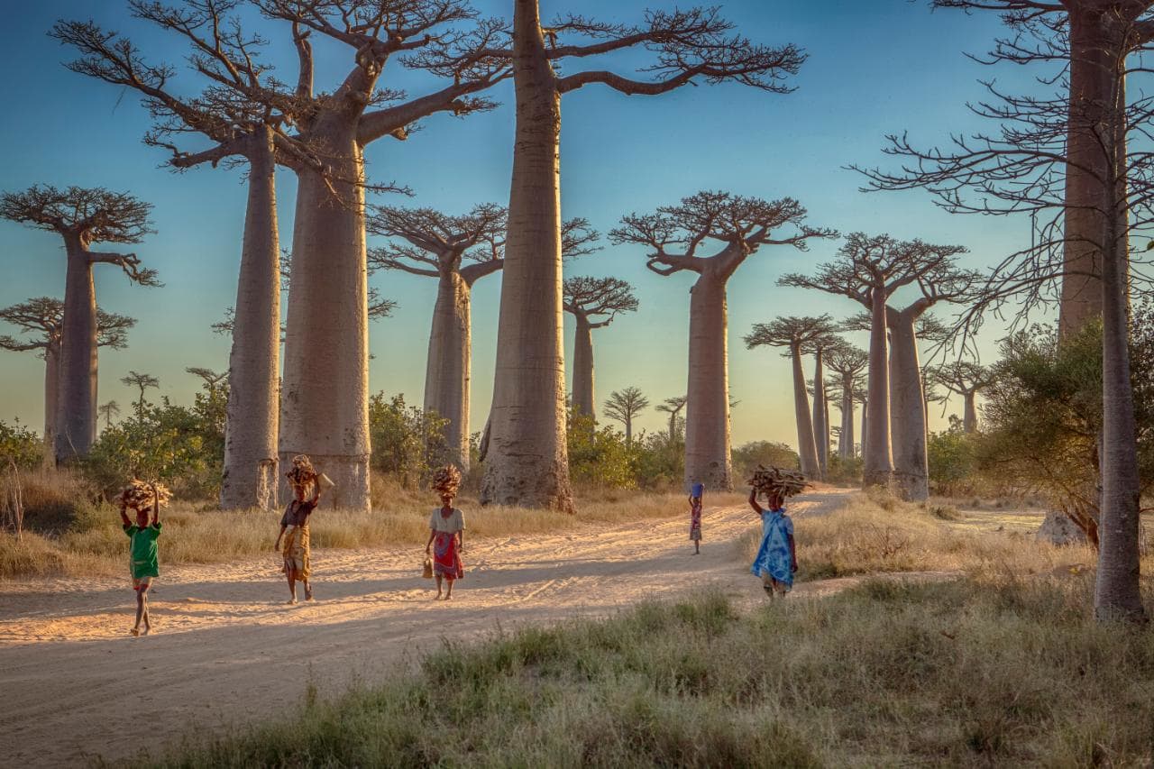 image National Geographic cycling 131314241 Cultura Exclusive Madagascar