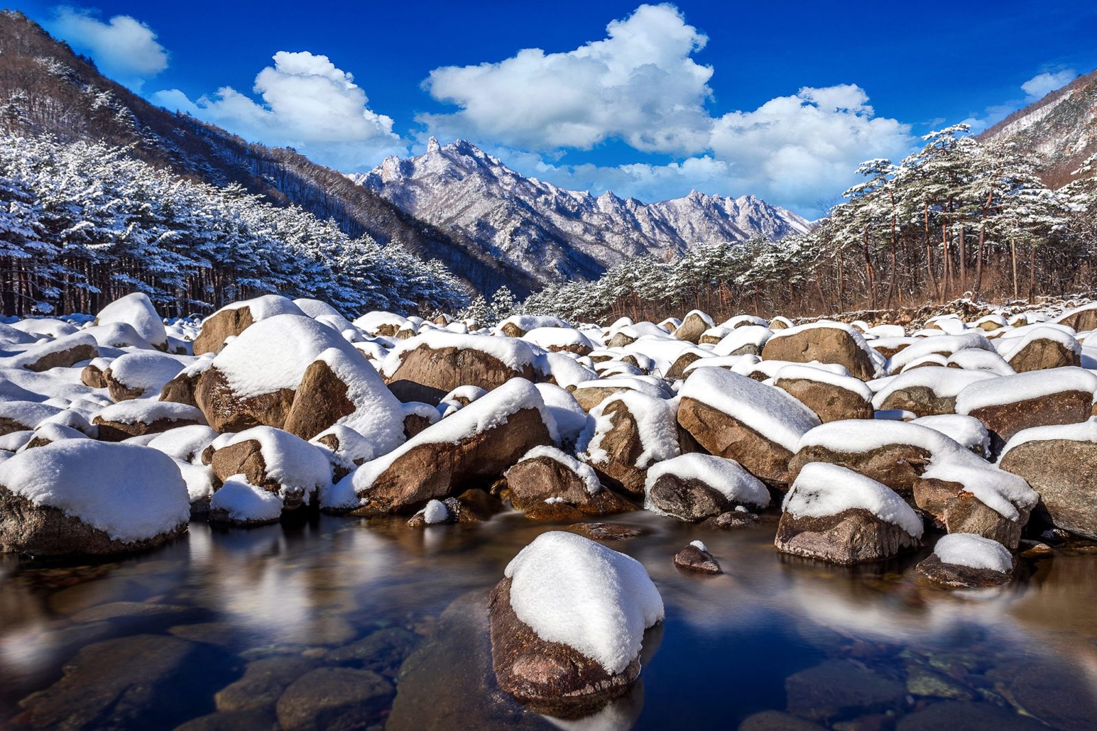 image National Geographic x015 seorajsan national park south korea.jpg.pagespeed.ic .5MJzair6Ug