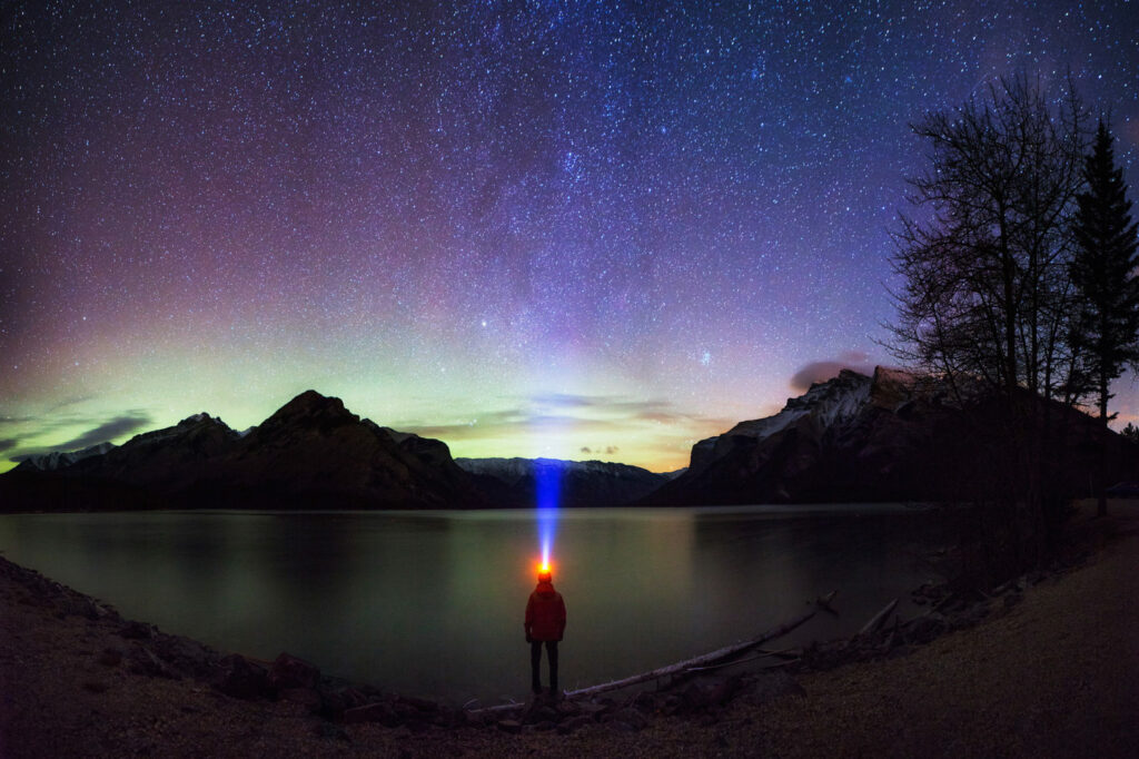 image cerveza cannabis 16321503067 a14e0ce77c k