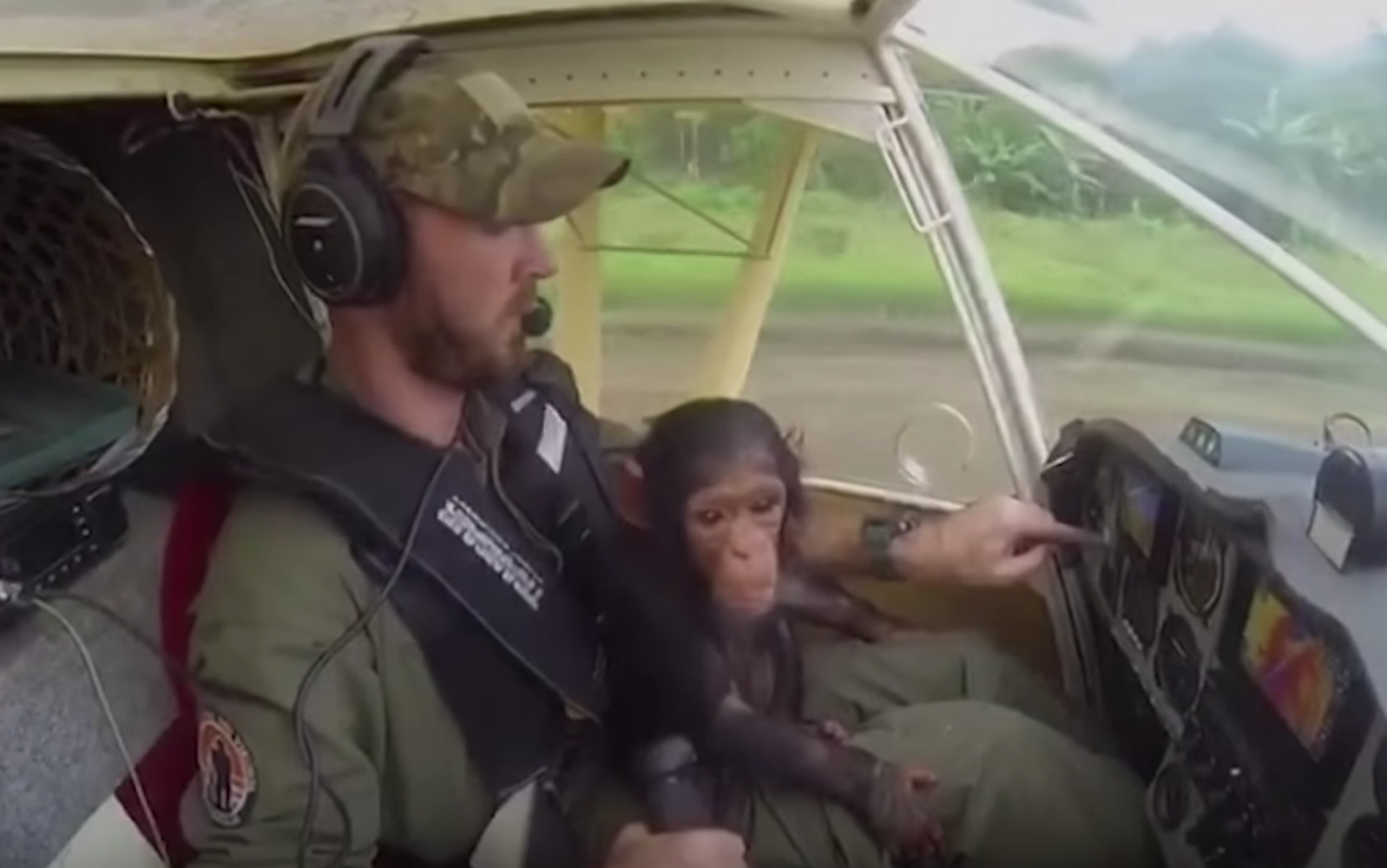 image Congo chimp co pilot 0