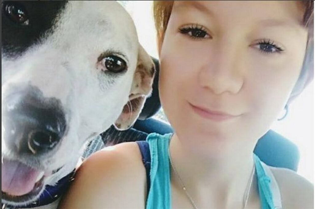 image orca 2653309w1033