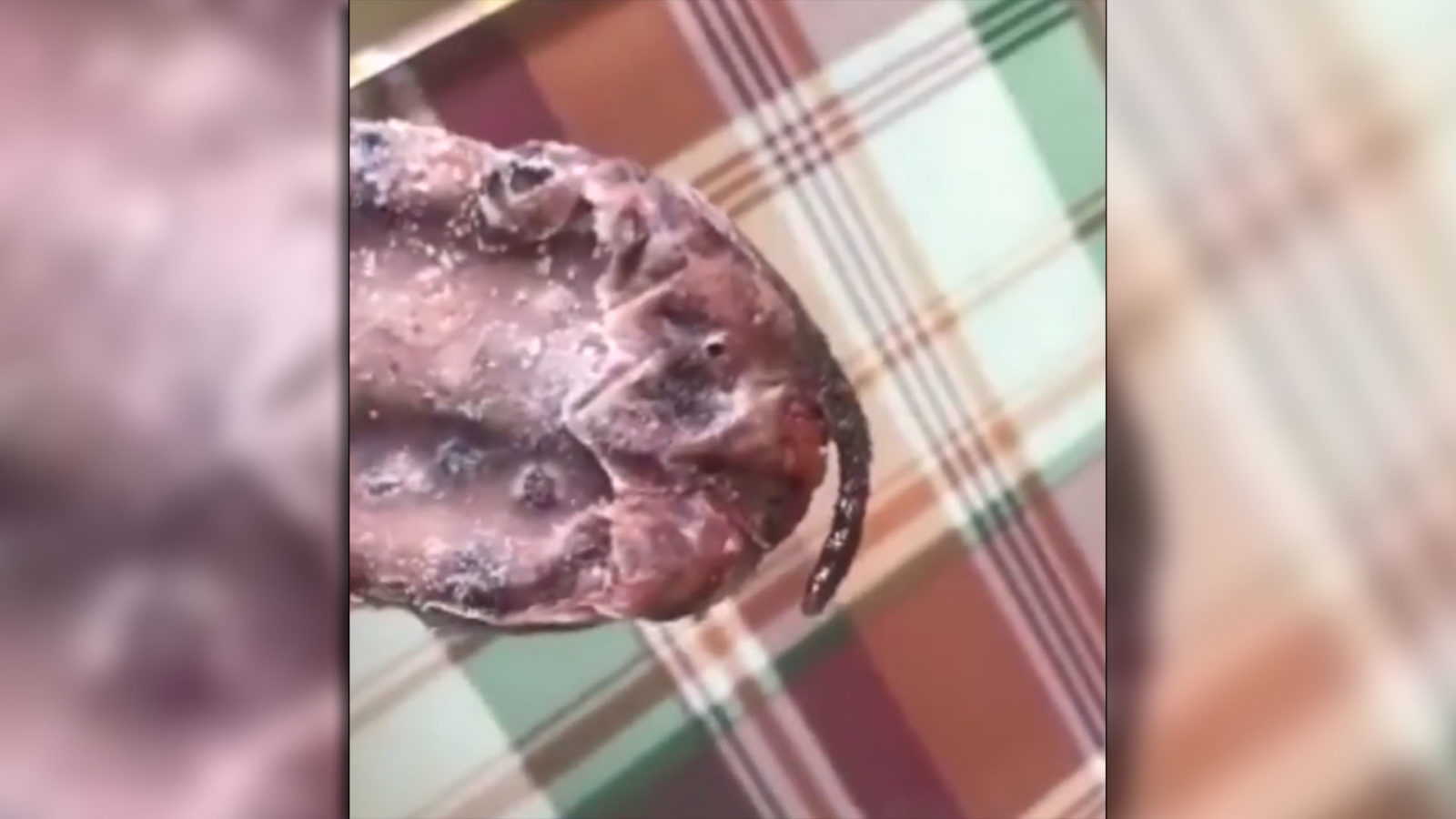 image China Una mujer encuentra la cola de un raton en un helado 1920 2