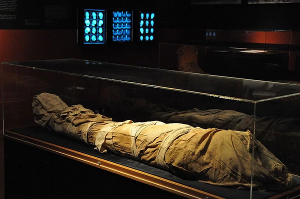 image momia momia australia nicholson museo