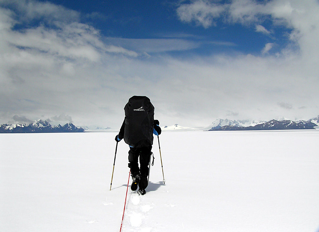 image orca 128049958 8cd9fd6a68 o