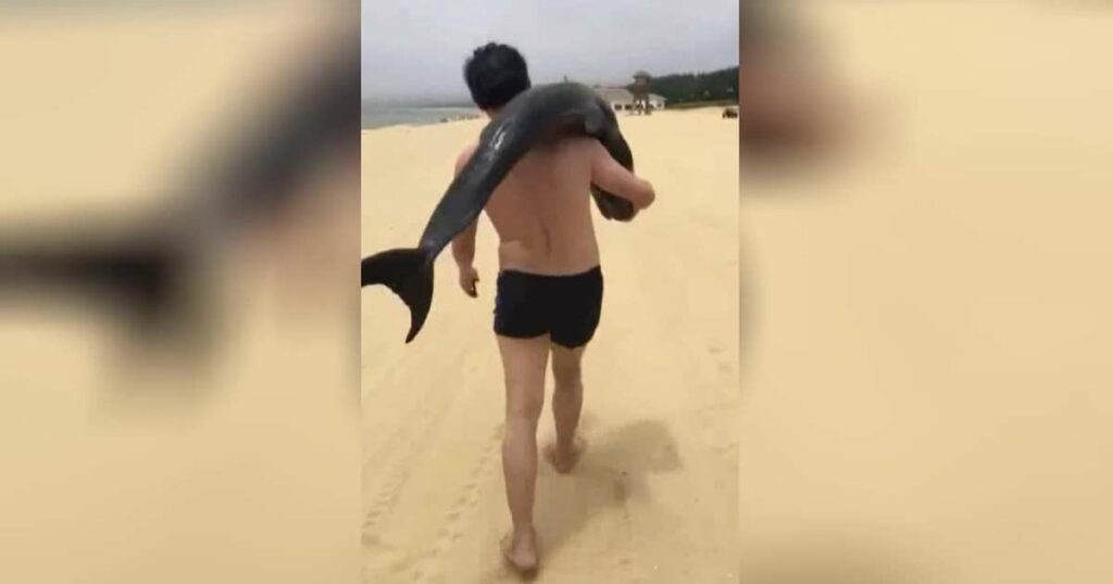 cascada artificial más alta del mundo Policía china busca al hombre que llevó de la playa un delfín varado image medicina AAwFW72