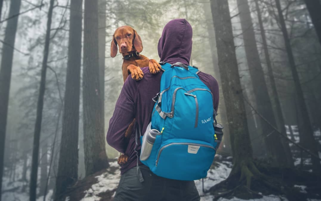 image cerveza cannabis Captura de pantalla 2018 05 03 a las 10.40.49