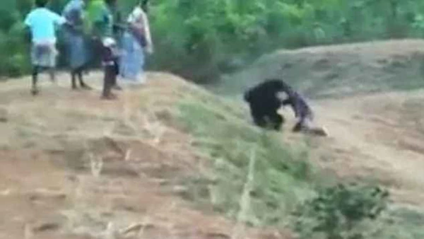 image Mortal ataque de un oso a un hombre en India 2