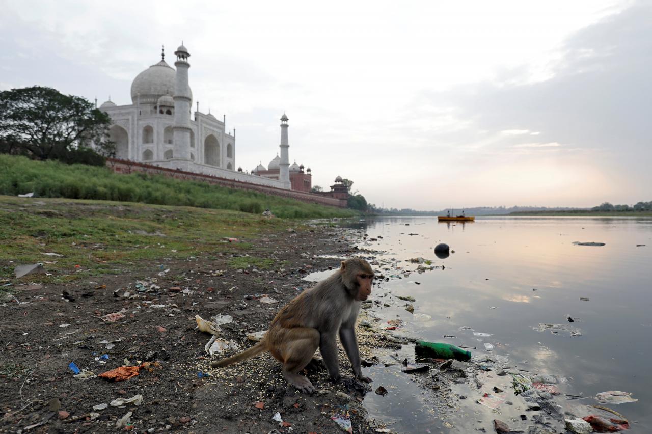 image Taj Mahal descarga 2