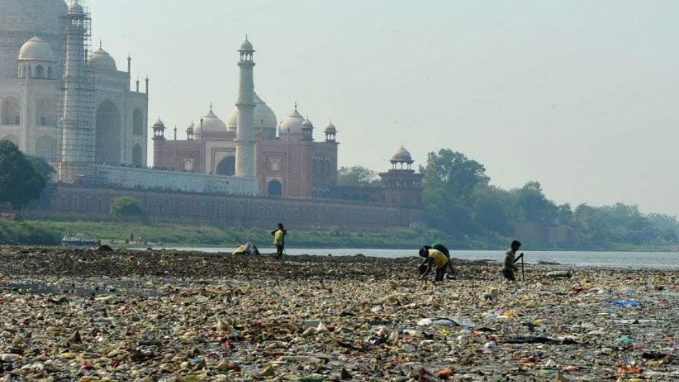 image Taj Mahal la basura se acumula en las inmediaciones del taj mahal