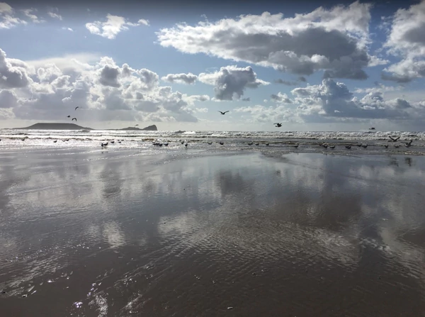 image criatura playa de Rhossili gales