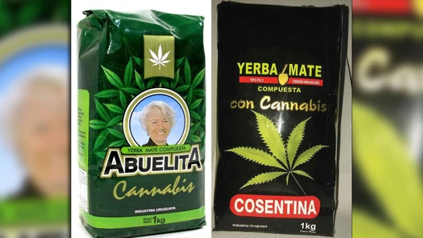 image Uruguay Yerba mate con cannabis