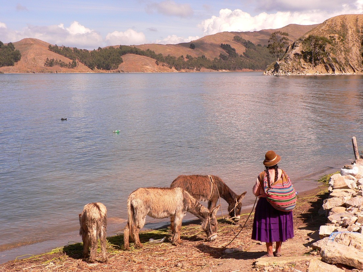 image Bolivia