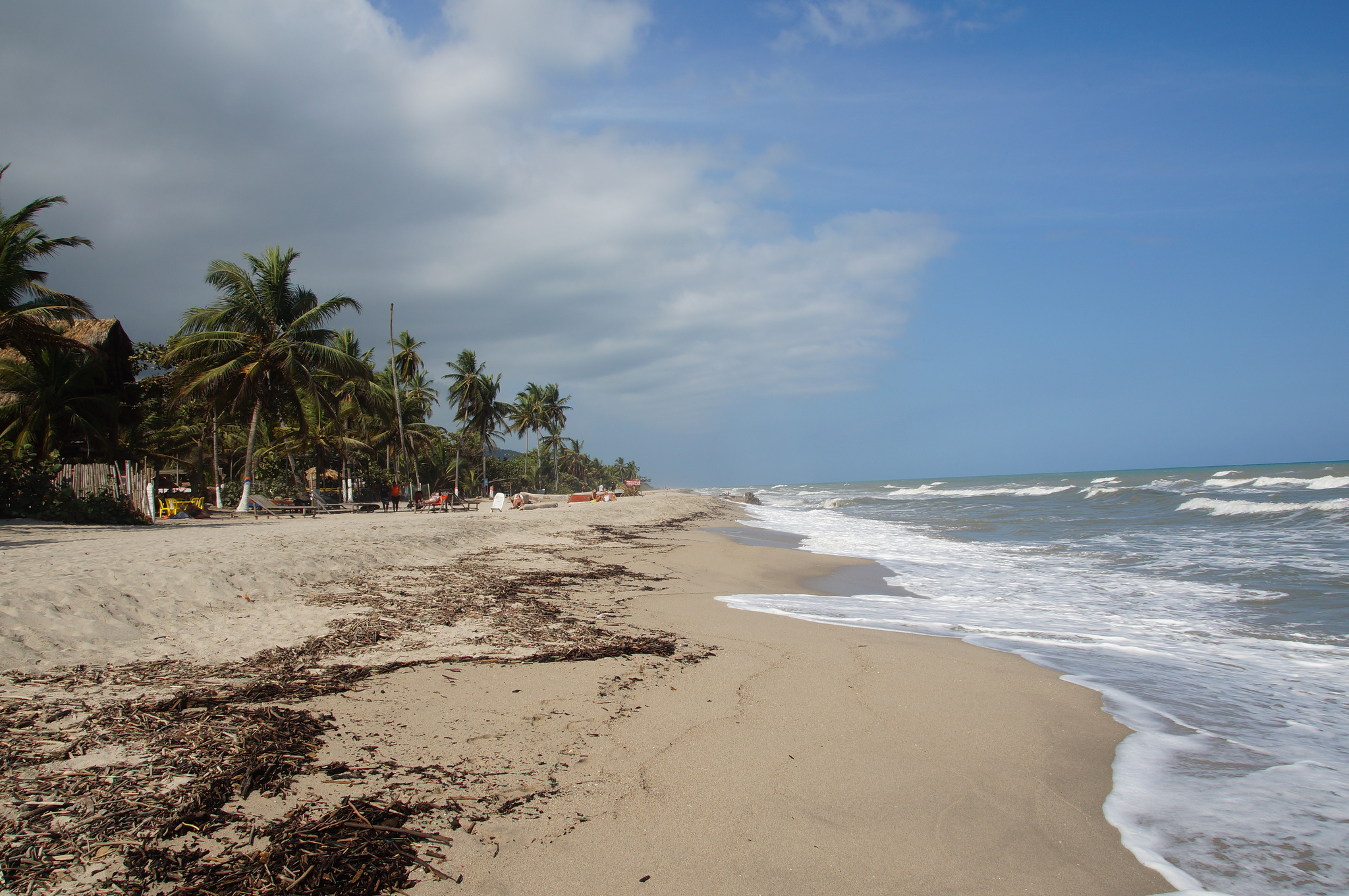 image Guajira palomino