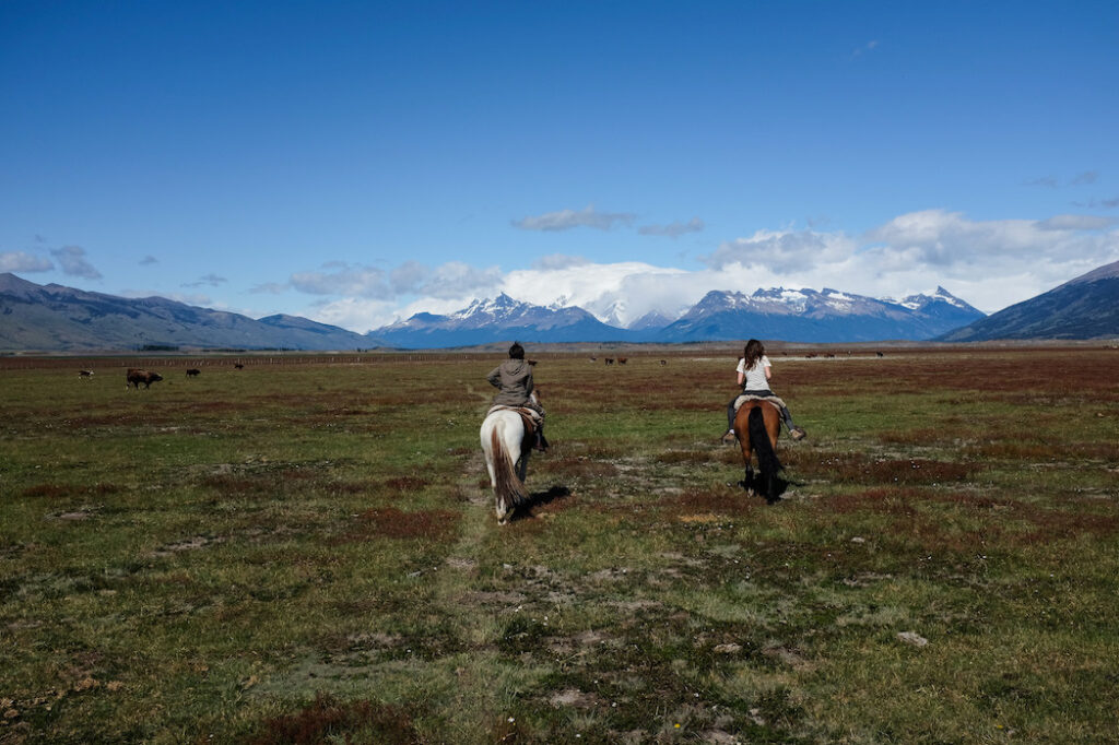 image orca 30608549560 48a3d631e7 k