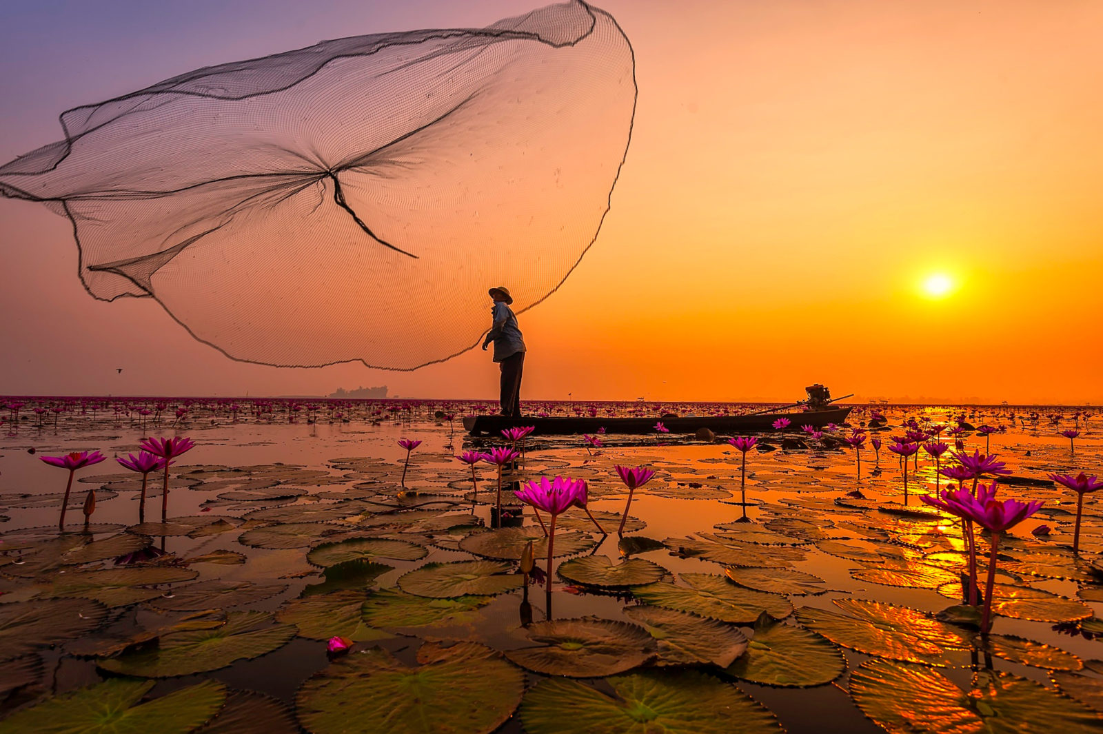 image girasoles Insatgram tayland ozero rybaki set