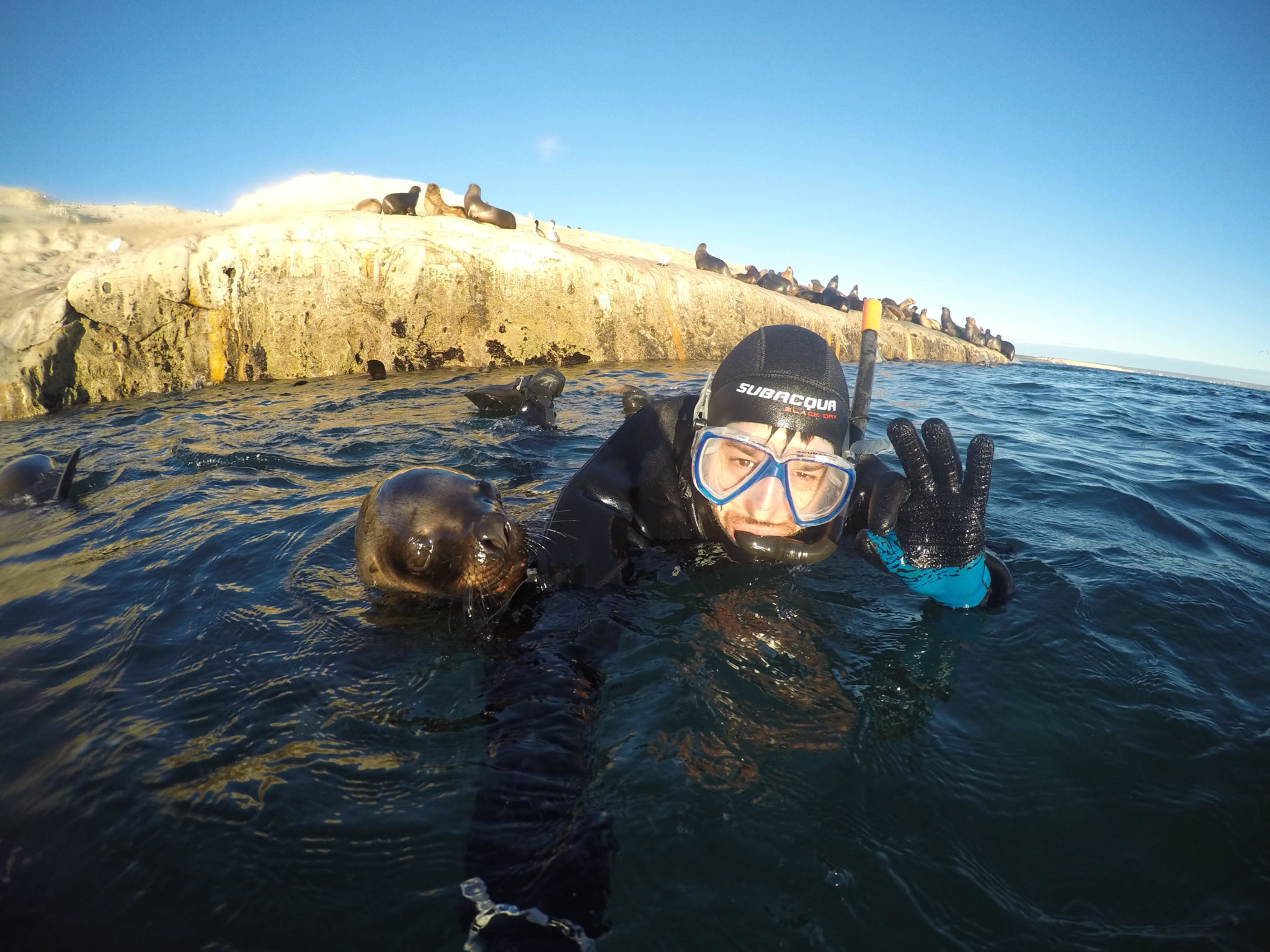 snorkel lobos puerto madryn