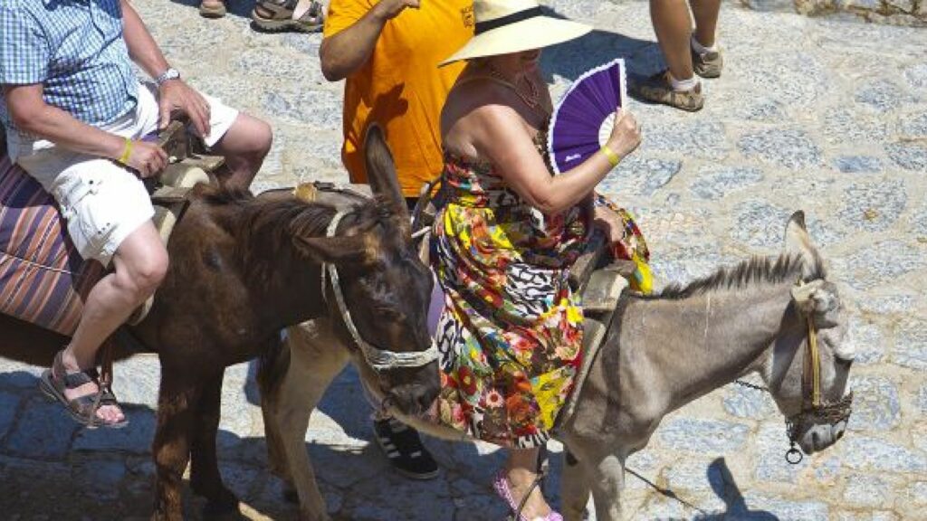 image Donkey Taxi Getty1