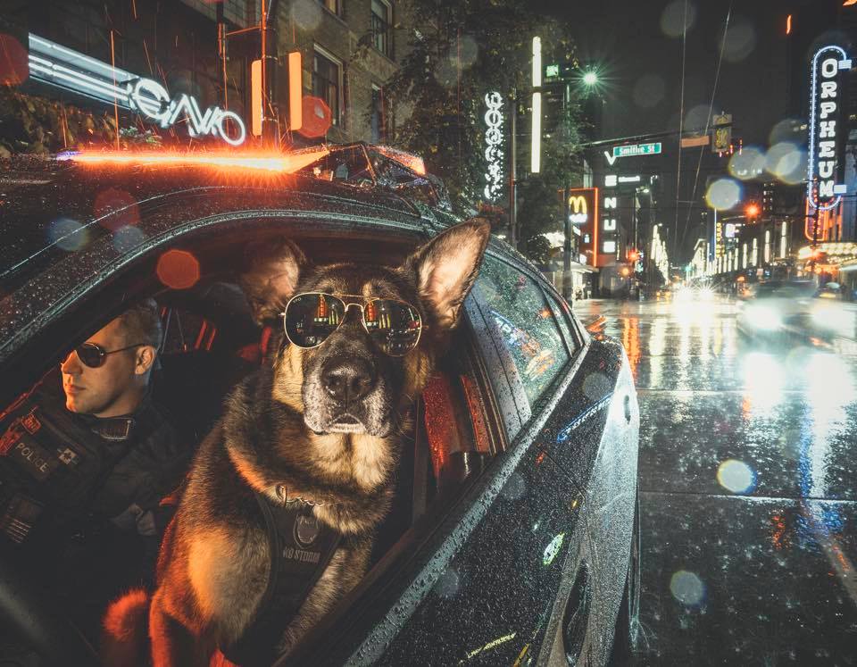 Autor: Vancouver Police Dogs Calendar