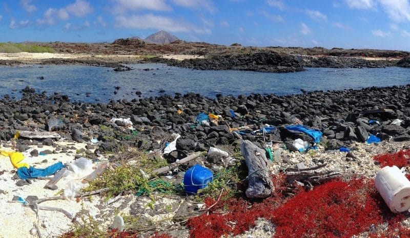 large_islas_galapagos_residuos_plasticos