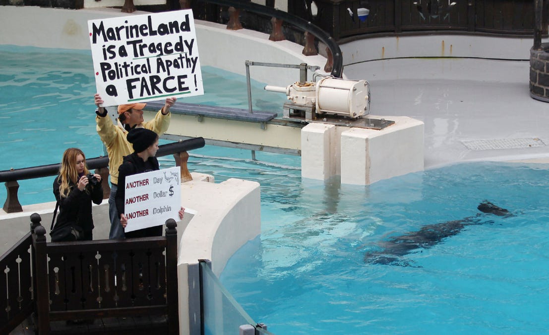 Marine-Land-Protest