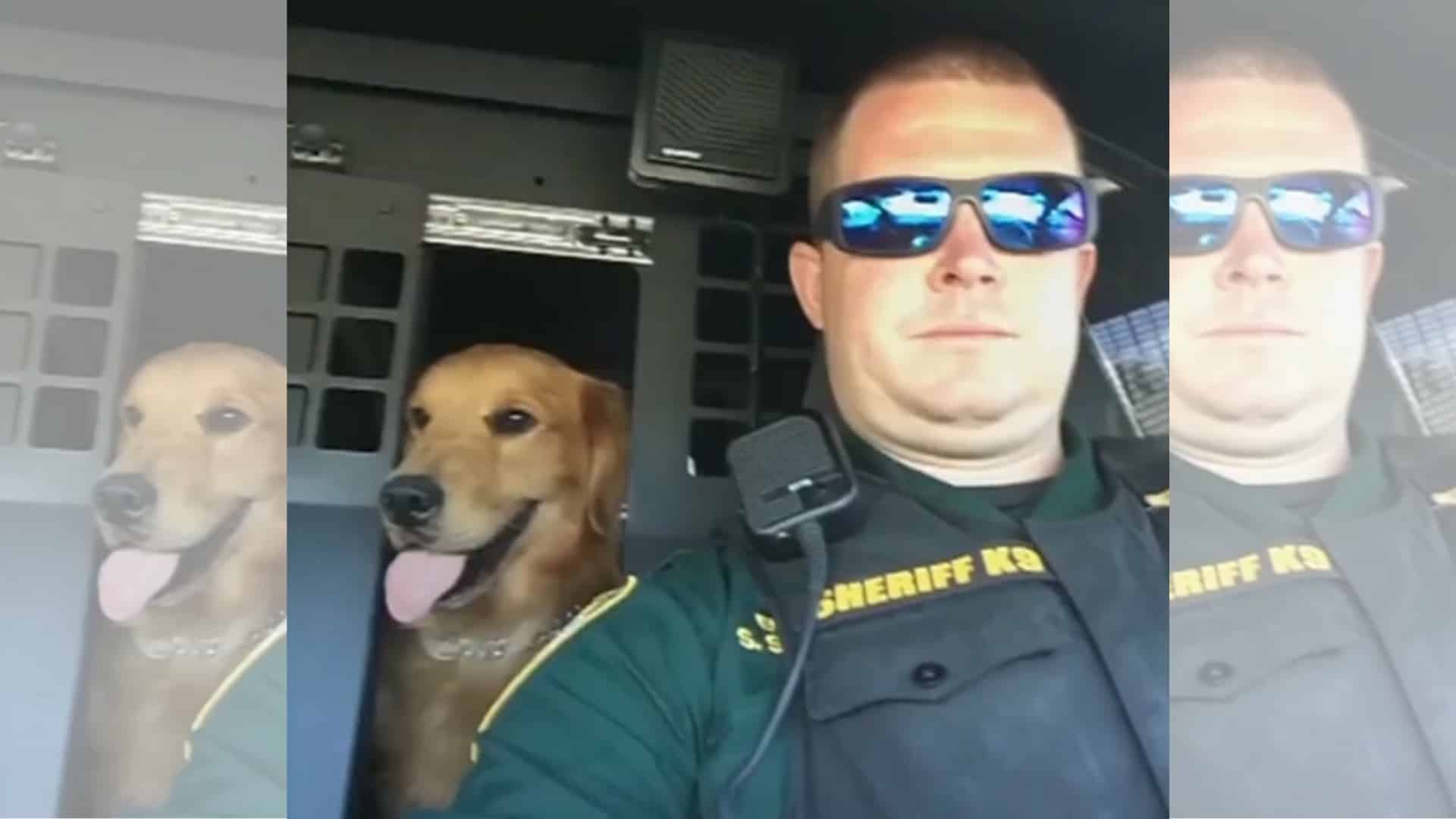 k9