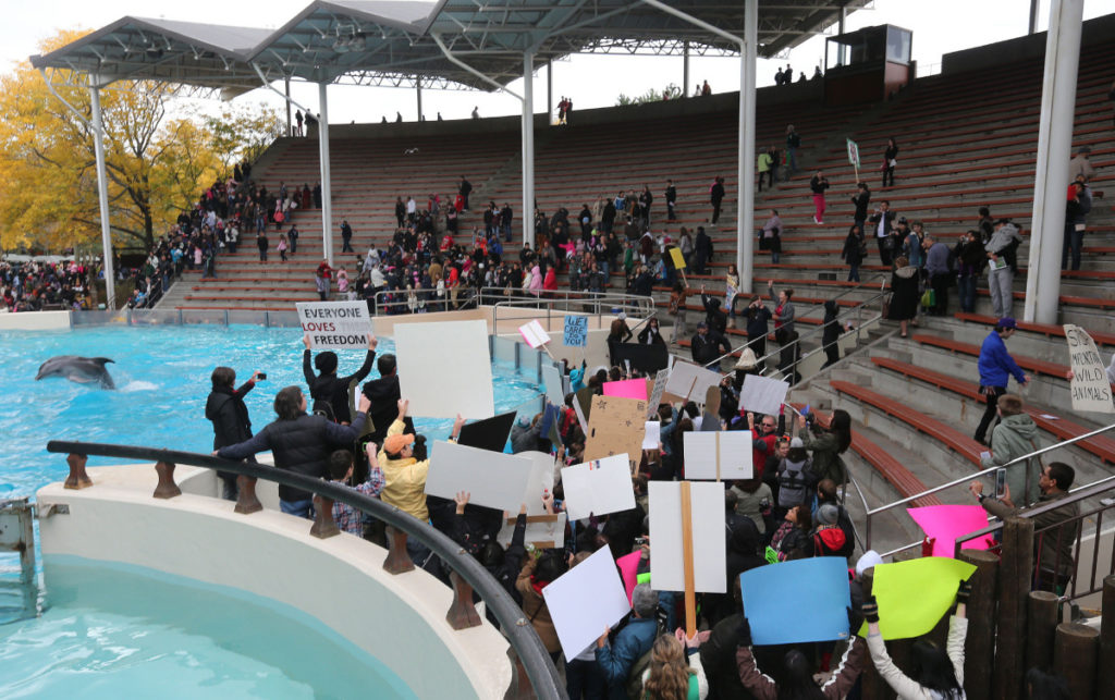 image marinelandprotest