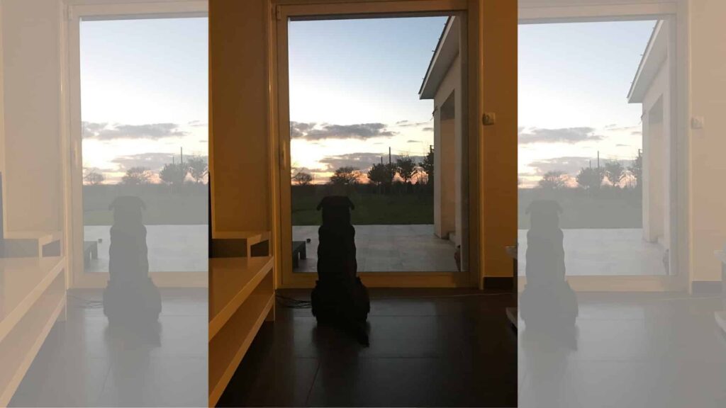 image Diseño sin título 1