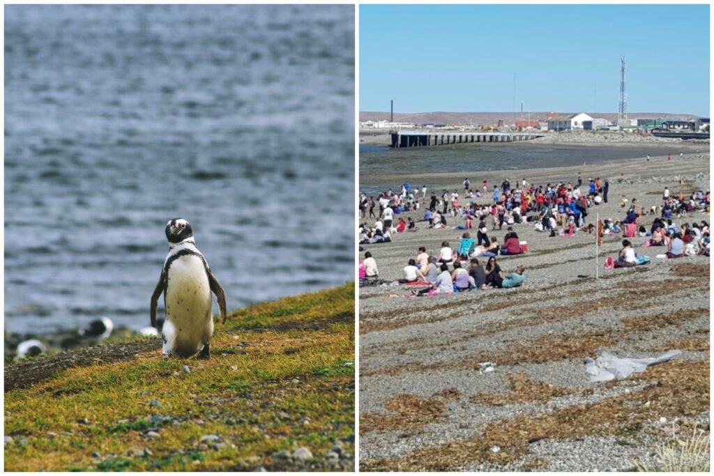 image calorpatagonia