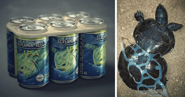image edible six pack beer rings safe for marine life saltwater brewery fb