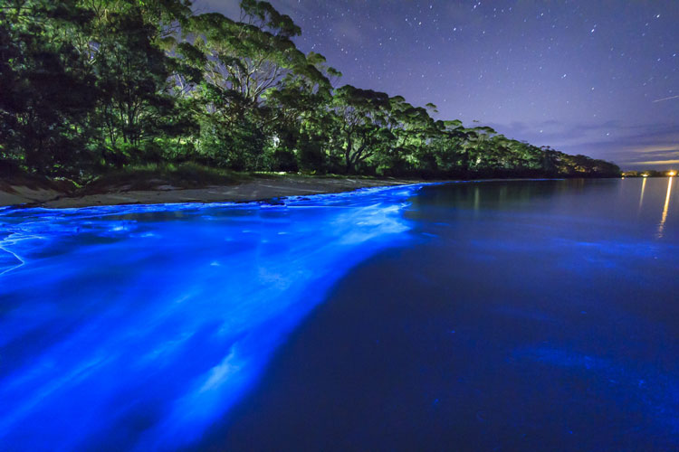 image Laguna Grande Bio Bay