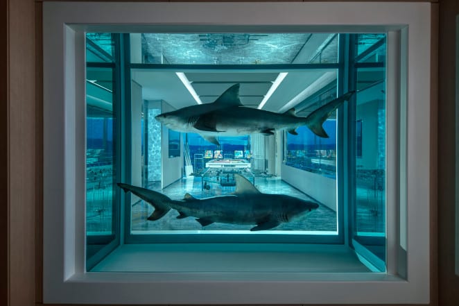 image empathy suite damien hirst 067