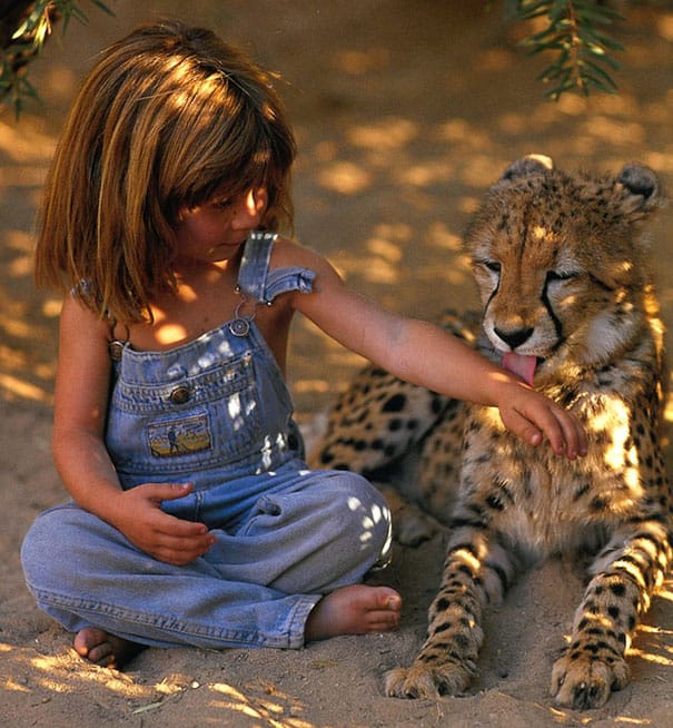 image mowgli real nina crecio africa entre animales tippi 10